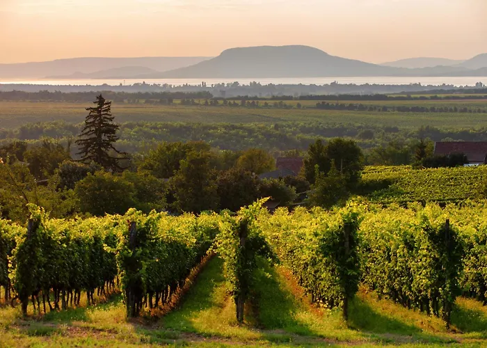 Unit_type_semidetached_house 54984 Дом отдыха *